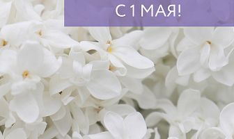Превью С праздником 1 мая!-0